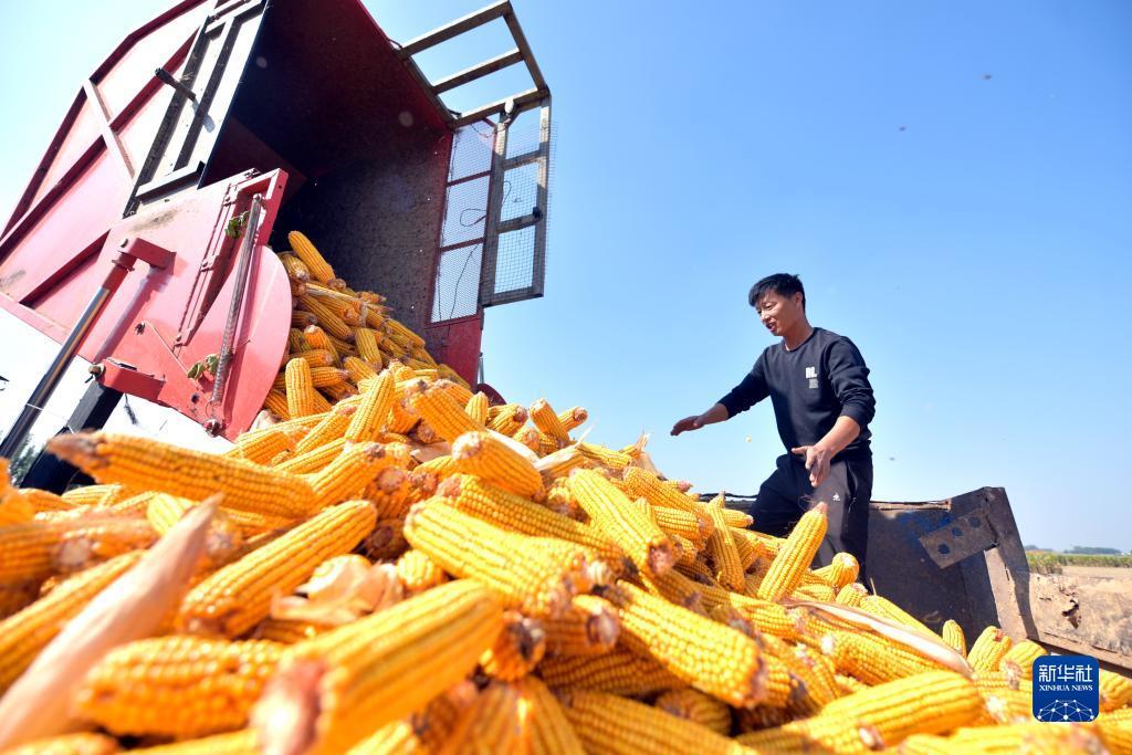 bg游戏下载